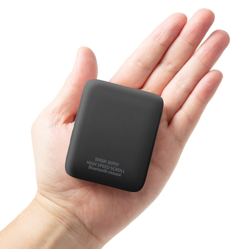 手のひらサイズ